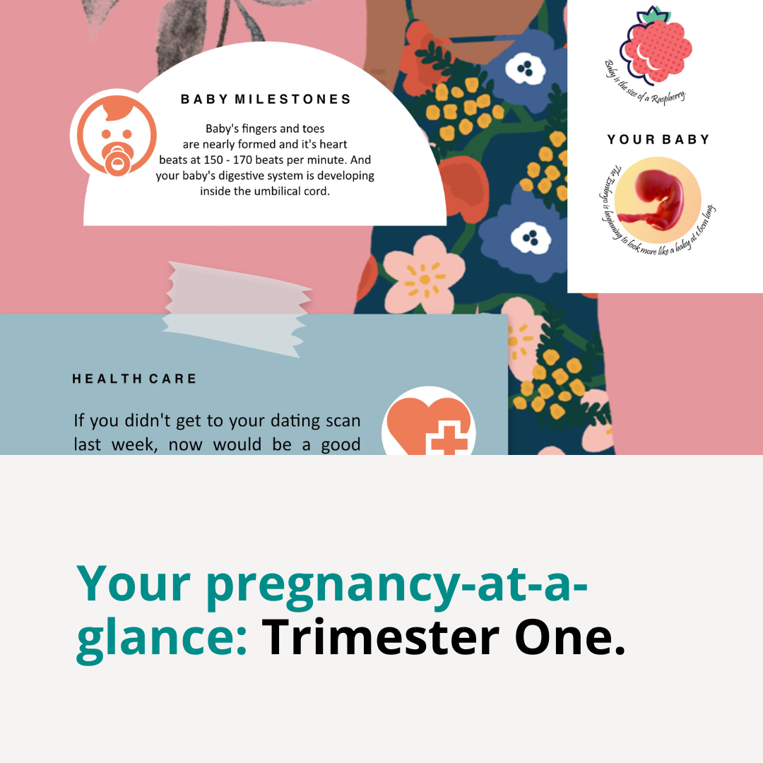 Bambini Prams FREE Resources Pregnancy Cards Trimester One