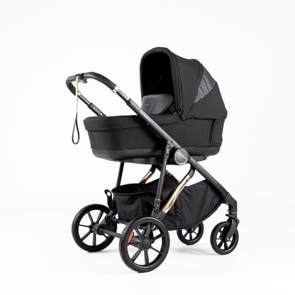 NOAH Black/Gold - Future-Proof Bundle
