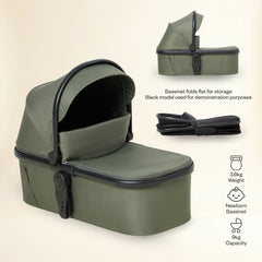 FERN Green