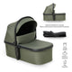 FERN Green