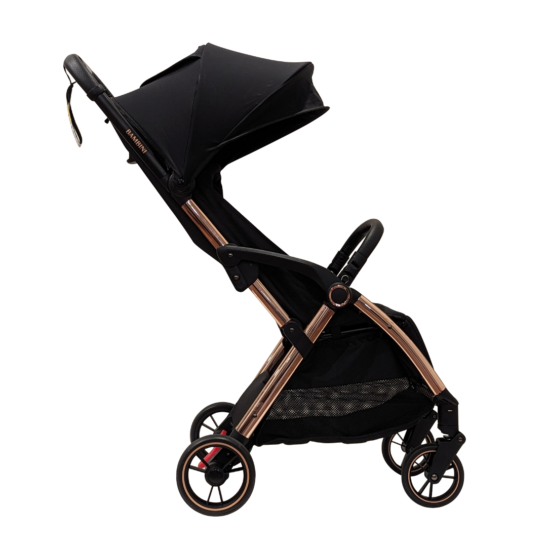 Bambini Prams PARIS Travel Stroller1
