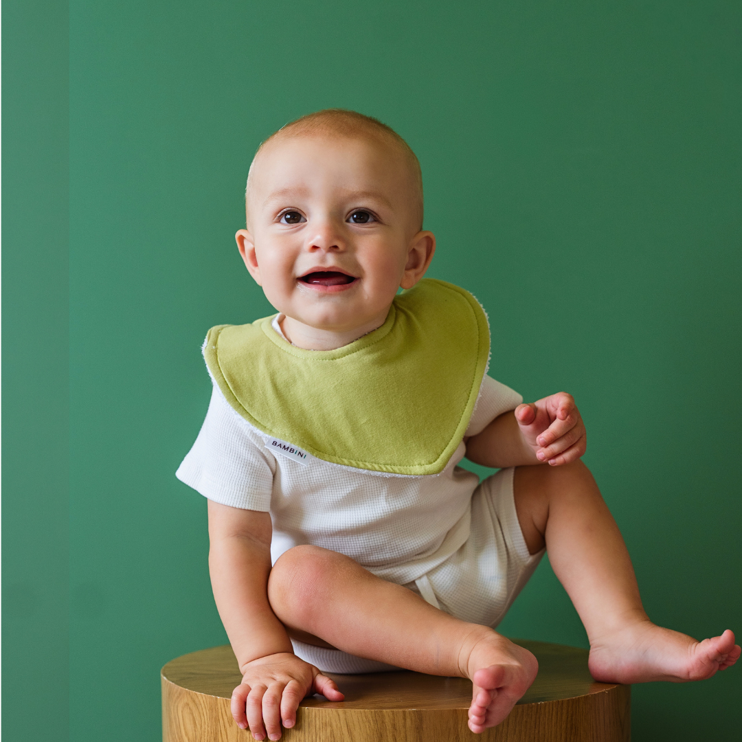 Rockinghorse Days Organic Dribble Bib (Set of 3)