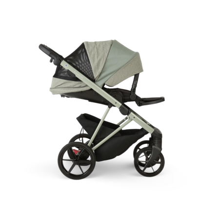 CHLOE Salvia - Salvia Green Chassis