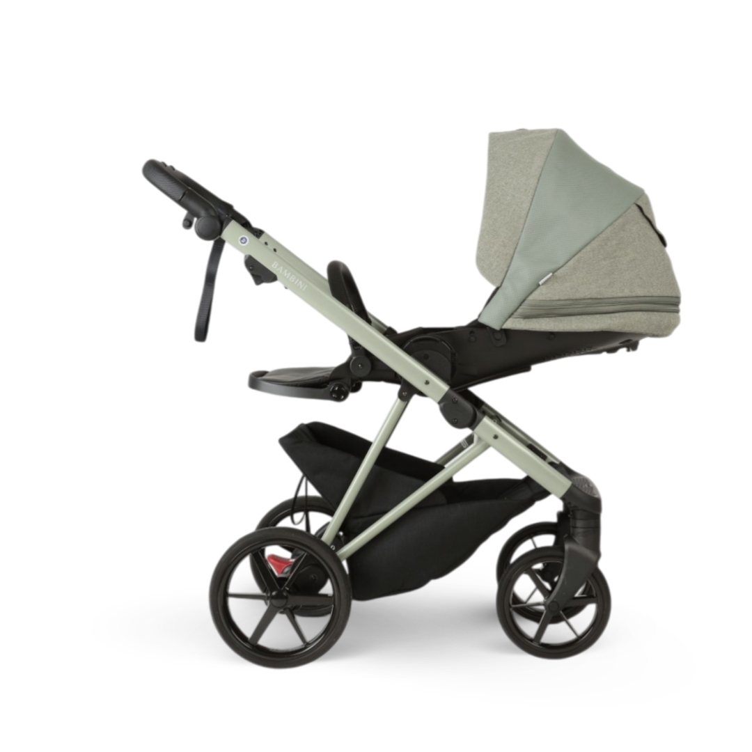 CHLOE Salvia - Salvia Green Chassis