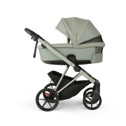 CHLOE Salvia - Salvia Green Chassis