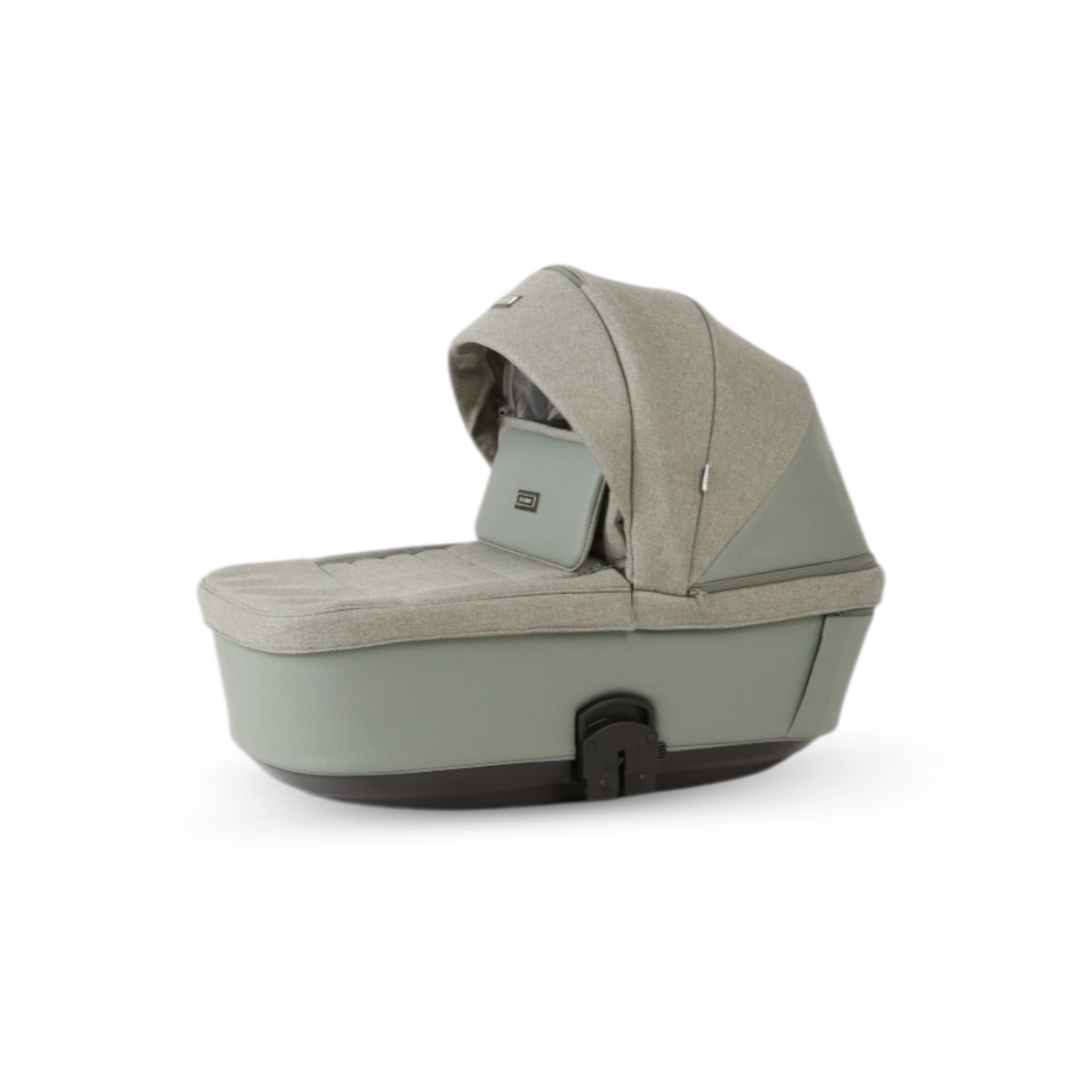 CHLOE Salvia - Salvia Green Chassis