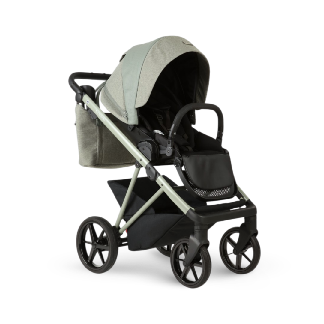 CHLOE Salvia - Salvia Green Chassis