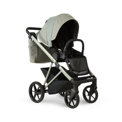 CHLOE Salvia - Salvia Green Chassis