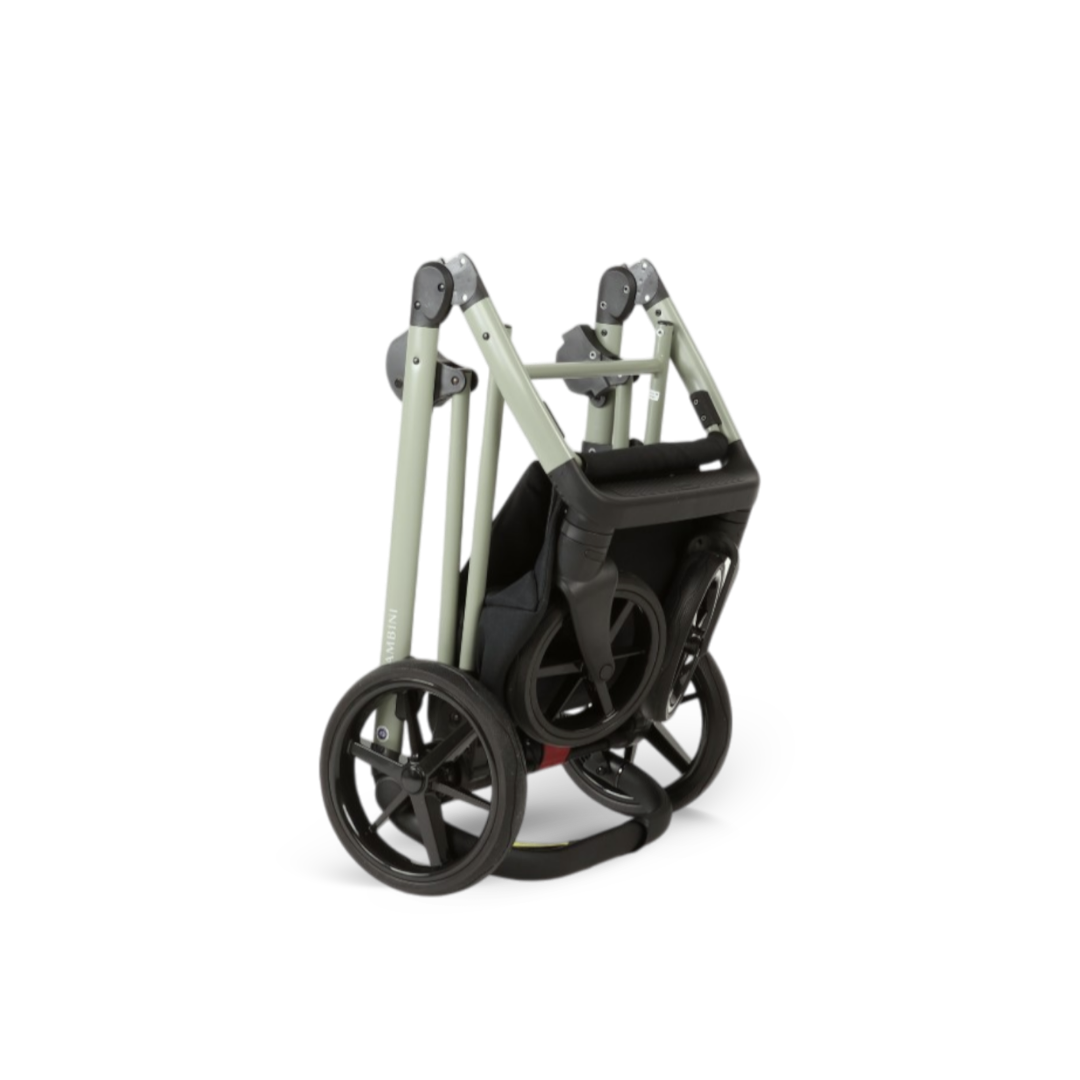 CHLOE Salvia - Salvia Green Chassis