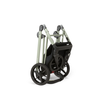 CHLOE Salvia - Salvia Green Chassis