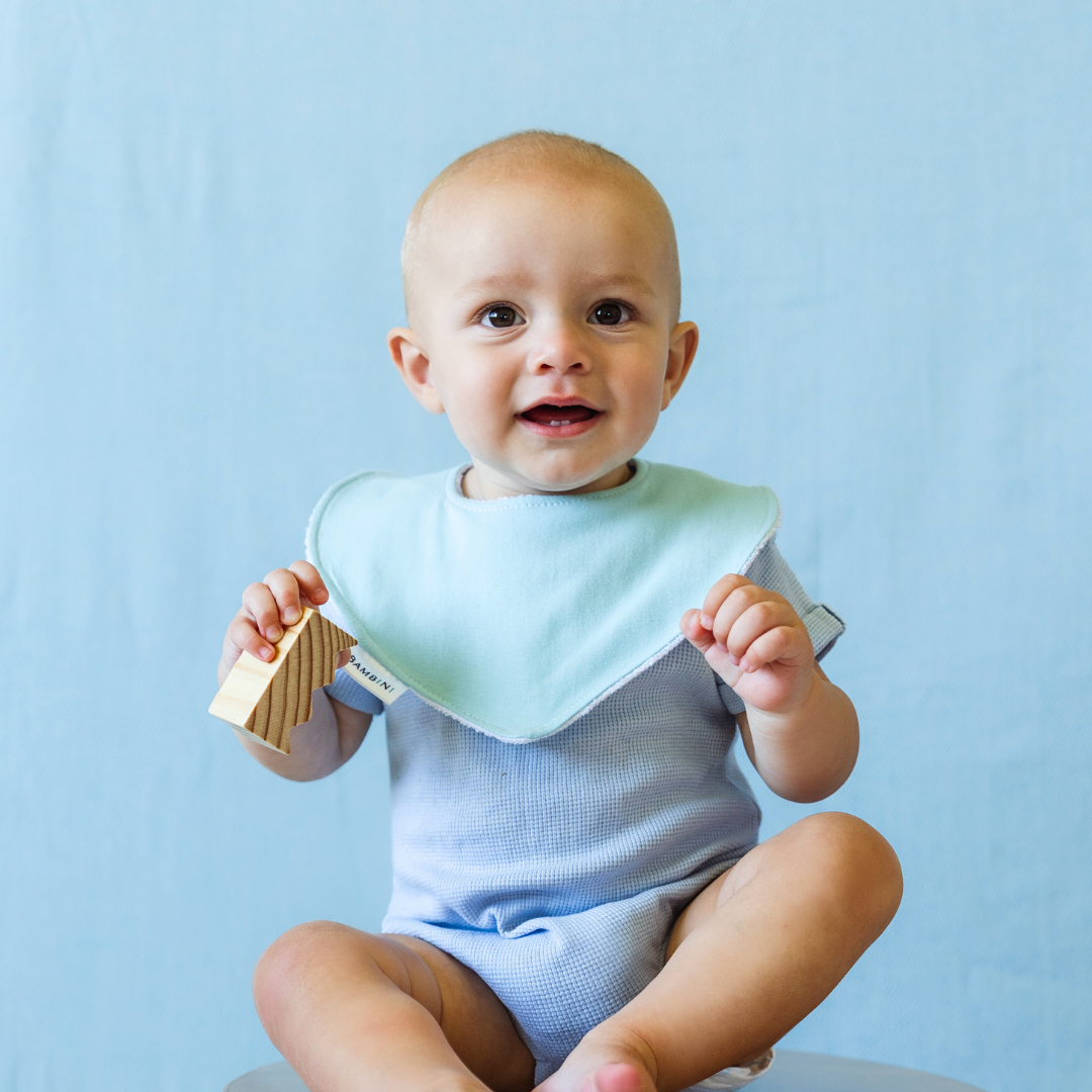 Underwater Worlds Organic Dribble Bib (Set of 3)