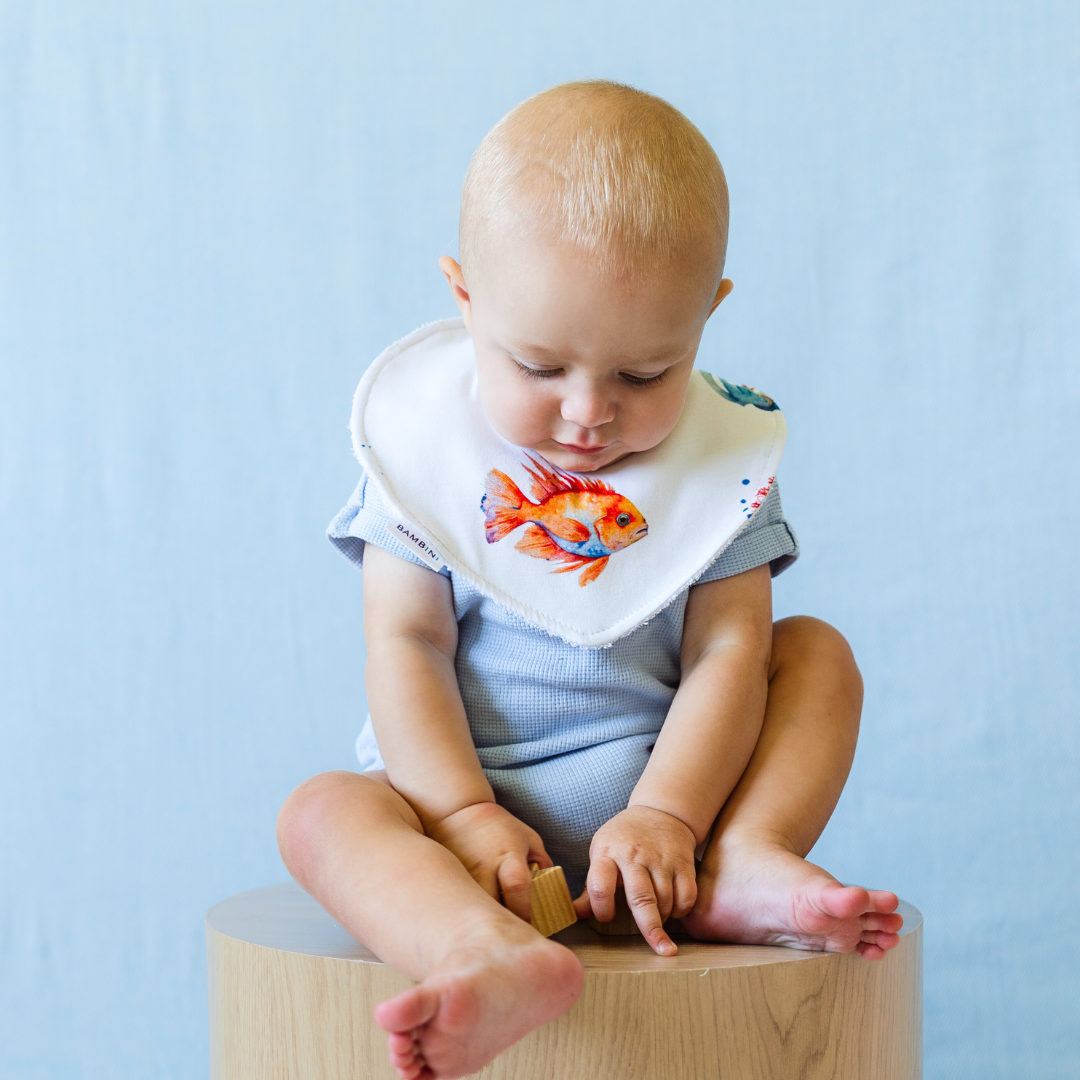 Underwater Worlds Organic Dribble Bib (Set of 3)