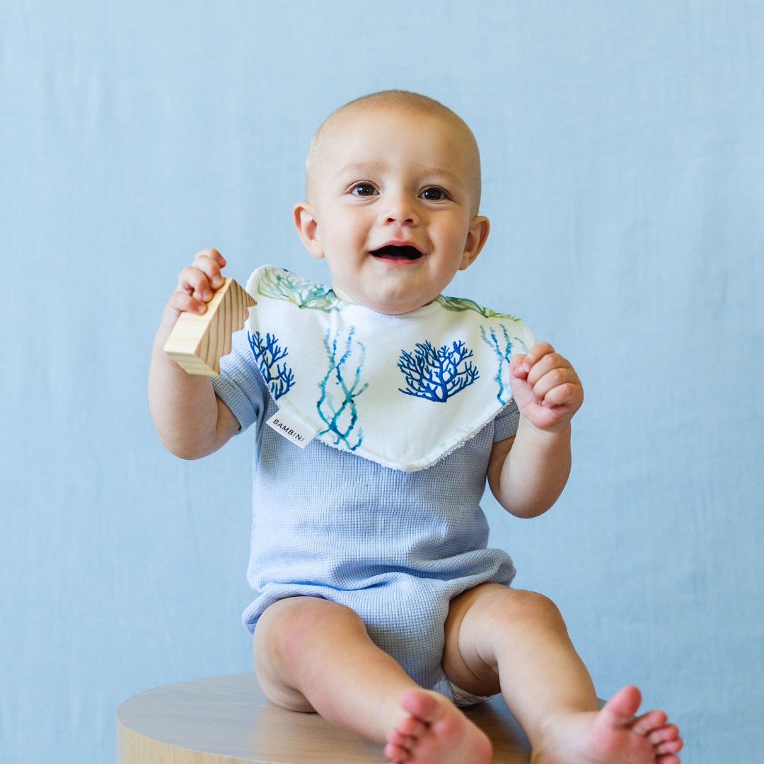 Underwater Worlds Organic Dribble Bib (Set of 3)