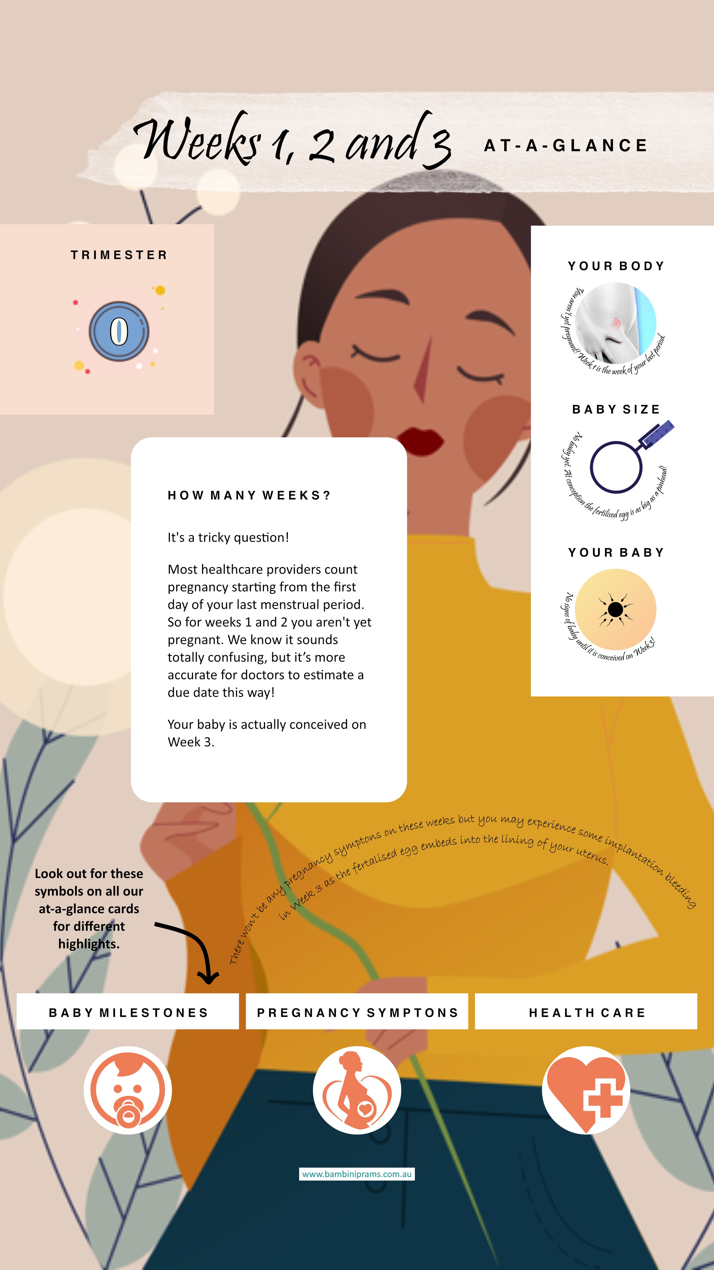 Bambini Prams FREE Resources | Pregnancy Cards | Trimester One