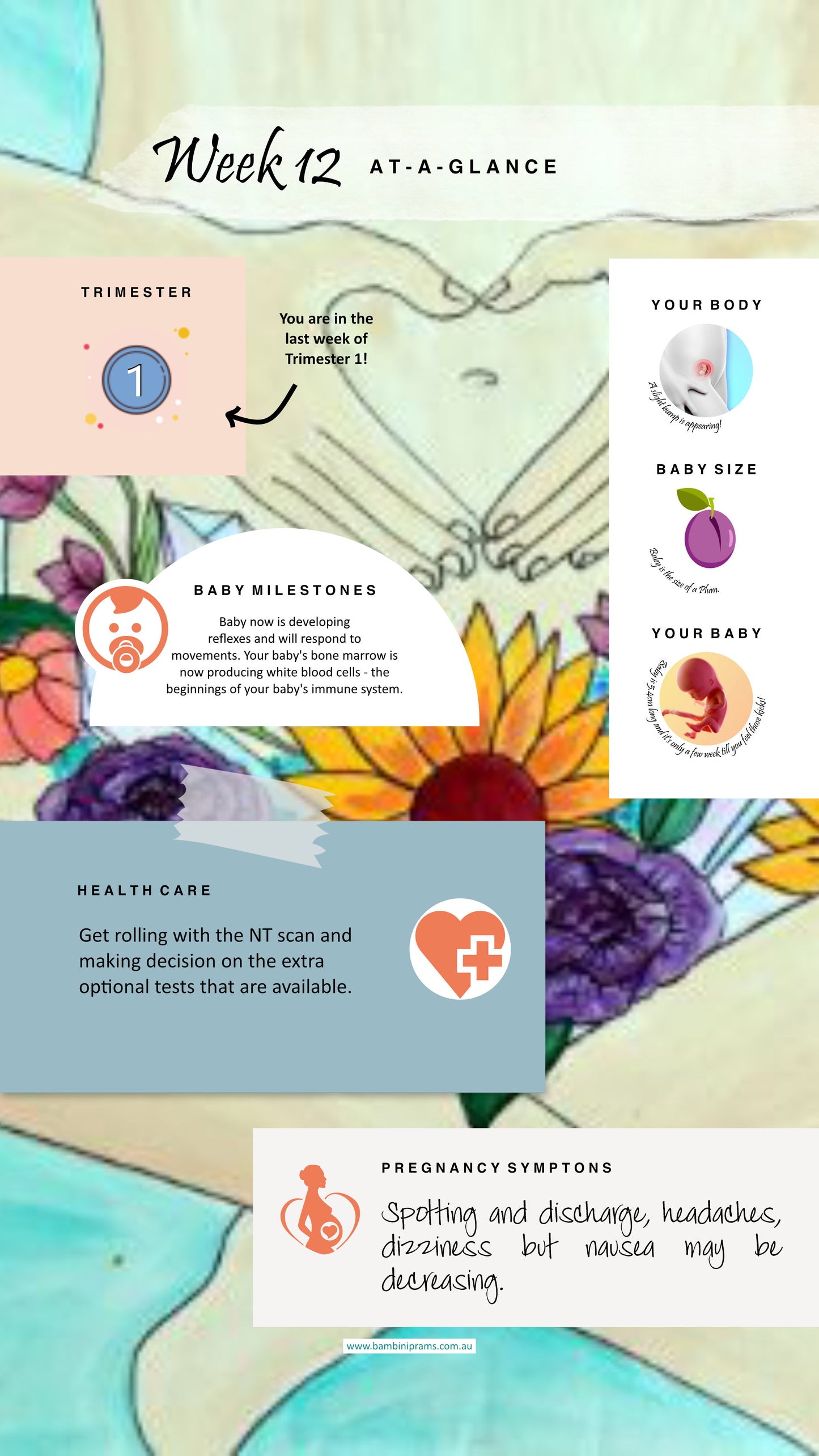 Pregnancy Week 12 At A Glance Card