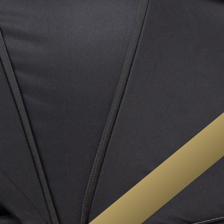 RAVEN Black - Gold Chassis
